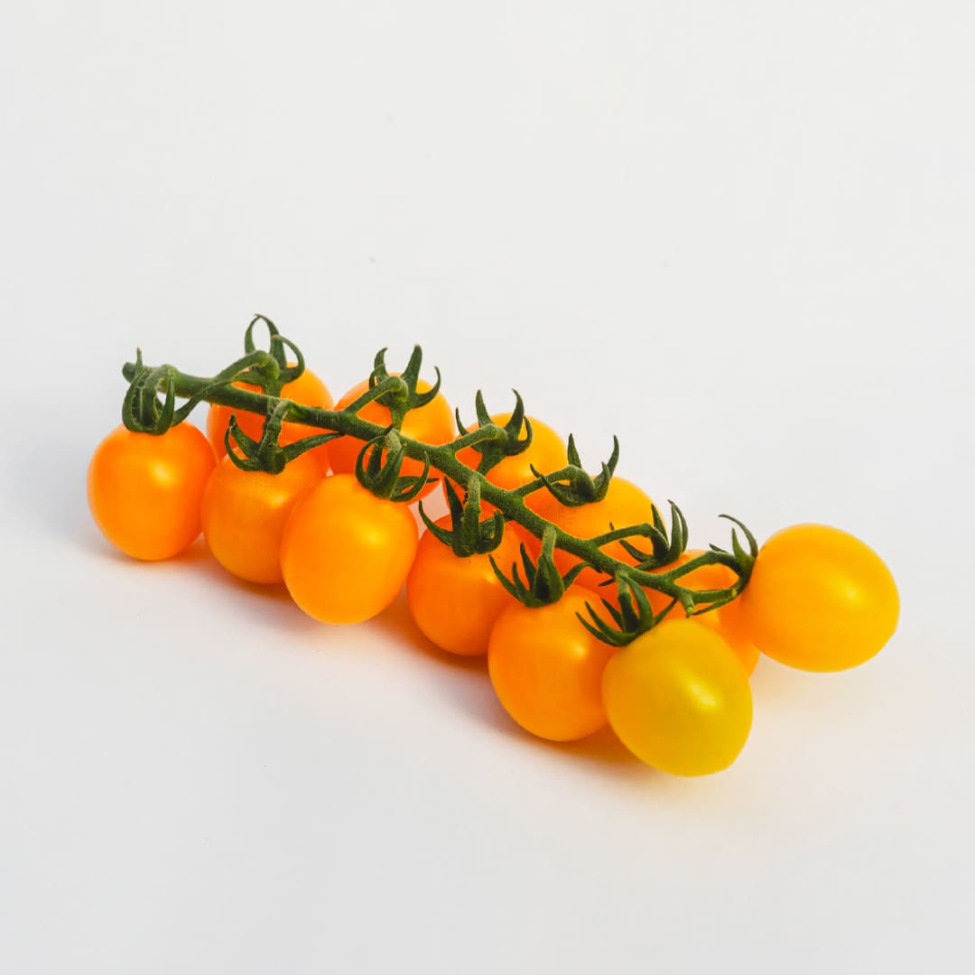 YLY – Ciliegino giallo premium